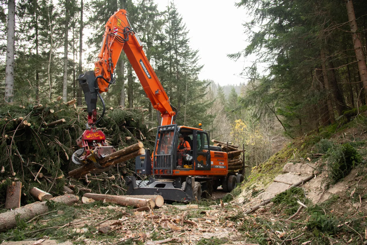 Schritt 3 der Zusammenarbeit mit der Nüesch & Ammann Forstunternehmung AG im Wald