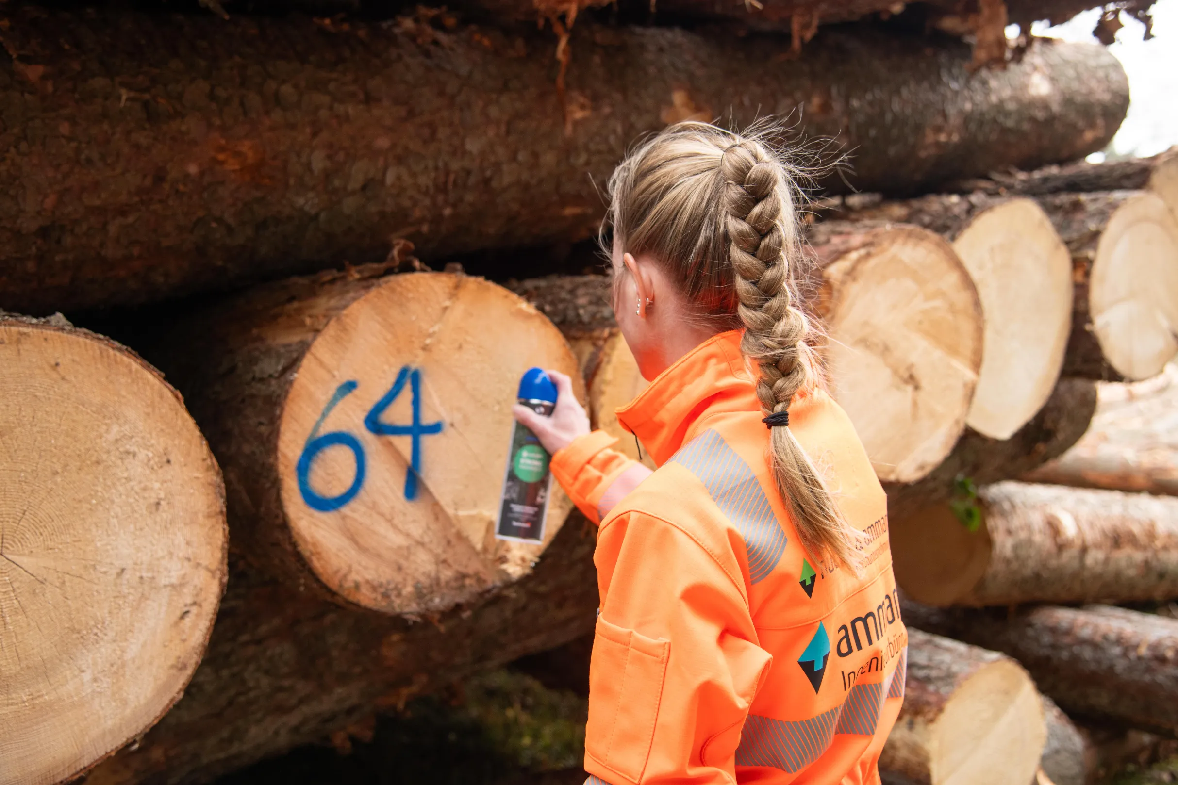Schritt 2 der Zusammenarbeit mit der Nüesch & Ammann Forstunternehmung AG im Wald