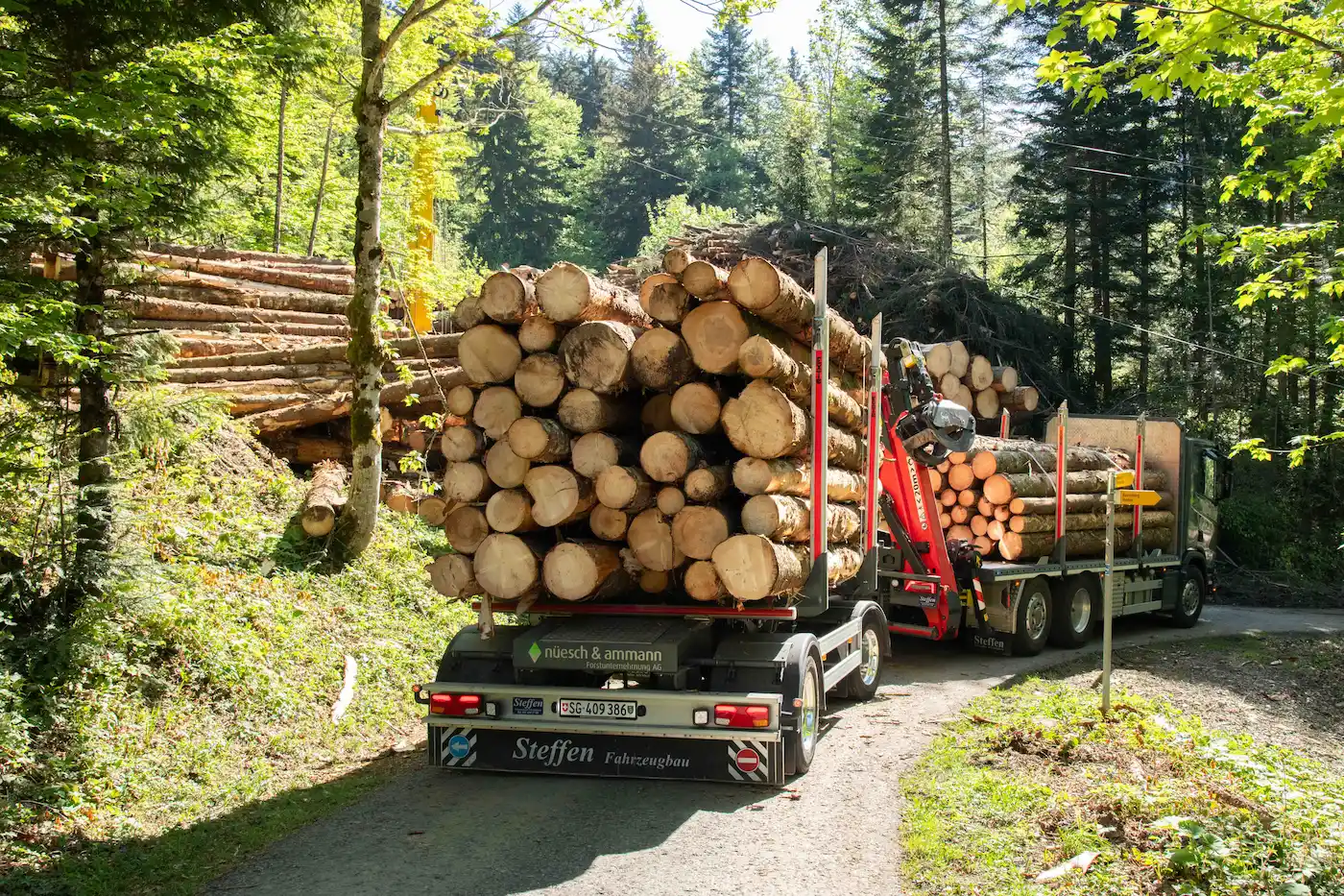 Forstarbeit der Nüesch & Ammann Forstunternehmung AG, Eschenbach SG