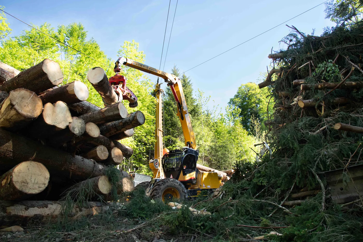 Forstkran stapelt Rundholz zu einem Polter im Wald