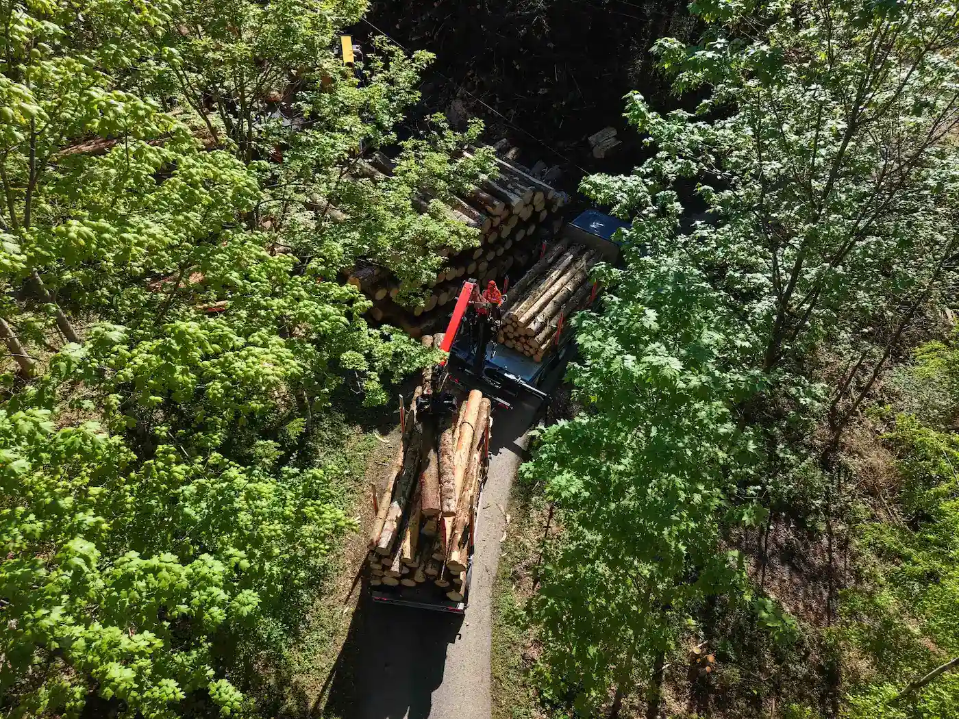 Holztransporter lädt Rundholz auf einer schmalen Waldstrasse, Luftaufnahme