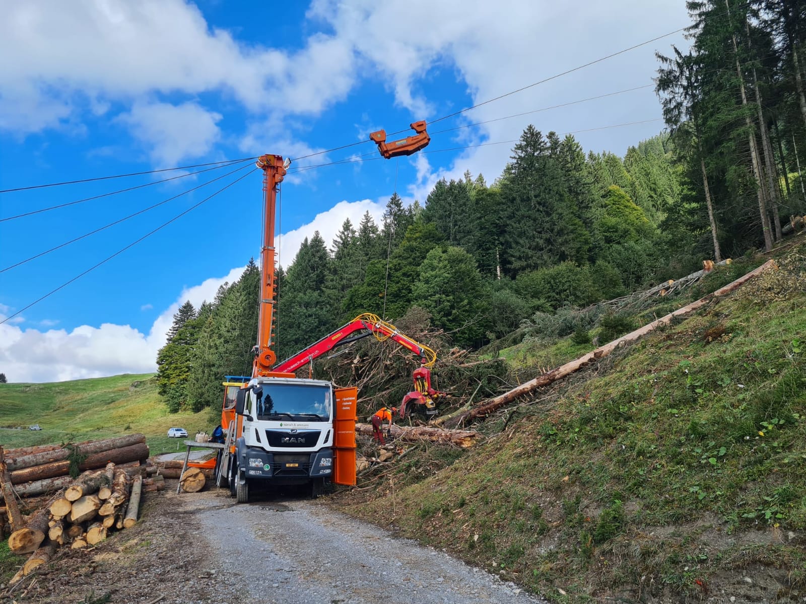Kombiseilgerät Synchro im Einsatz an einem steilen Waldhang
